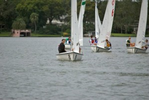Picture 29