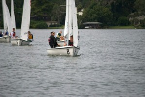 Picture 31
