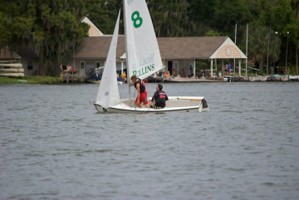 Picture 36