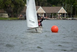 Picture 37