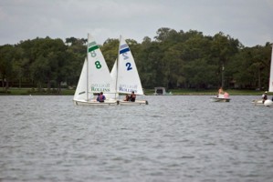 Picture 41