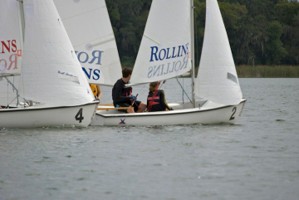Picture 42