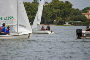 Picture 43