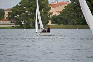 Picture 46