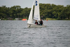 Picture 47