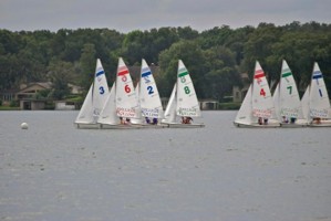 Picture 5