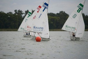 Picture 6