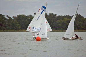 Picture 7