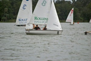 Picture 8