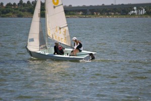 Picture 11