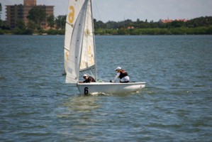Picture 16