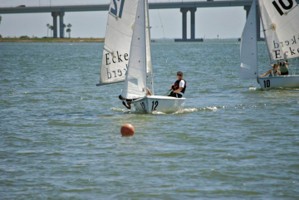 Picture 29