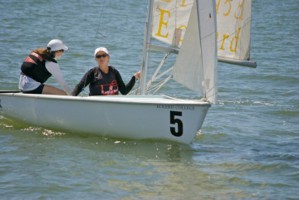 Picture 40