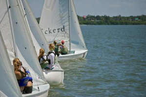 Picture 5