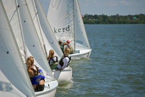 Picture 6