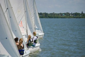 Picture 7