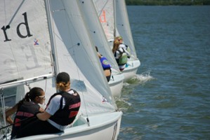 Picture 8