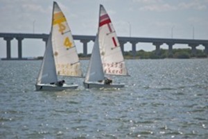Picture 9