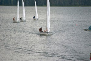 Picture 2