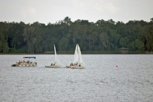 Picture 27