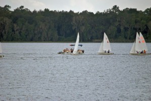Picture 28