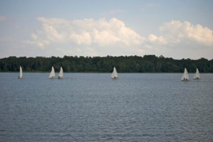 Picture 29