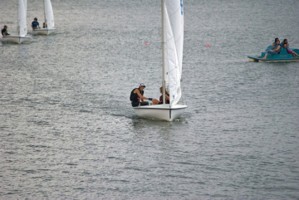 Picture 3