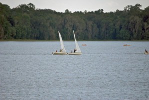Picture 30