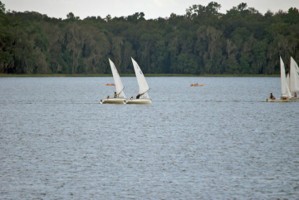 Picture 31