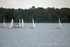 Picture 32