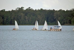 Picture 34