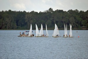 Picture 36