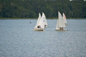 Picture 38