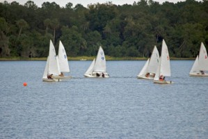 Picture 39