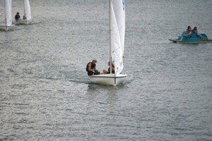 Picture 4