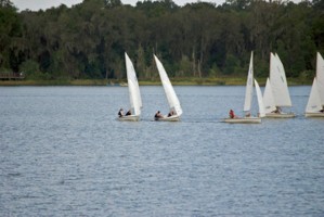 Picture 40