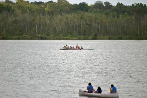 Picture 42