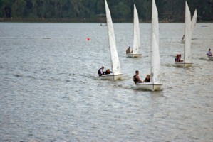 Picture 43