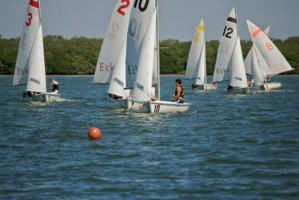 Picture 11