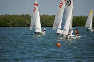 Picture 12