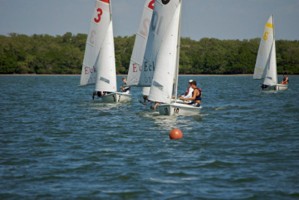 Picture 14
