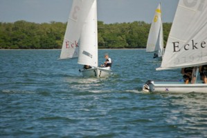 Picture 15