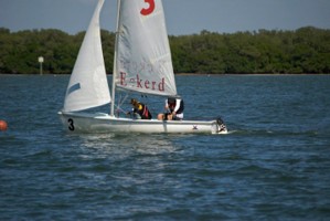 Picture 19