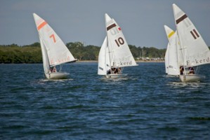 Picture 25