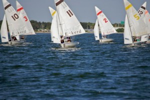 Picture 26