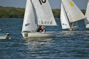 Picture 29