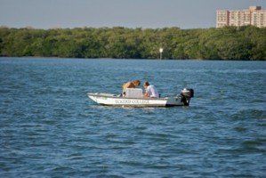 Picture 30