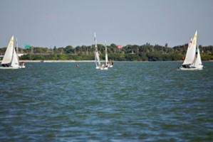 Picture 6