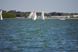 Picture 7