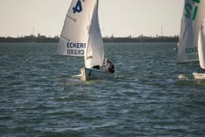 Picture 1